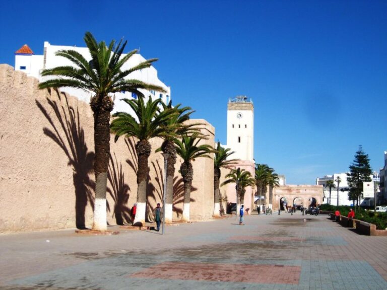 From Agadir Taghazoute: Essaouira Day Trip With Expert Guide