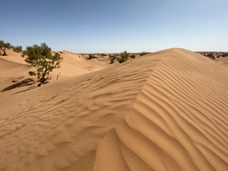 From Agadir/Tamraght/Taghazout: Sandoarding in Sand Dunes