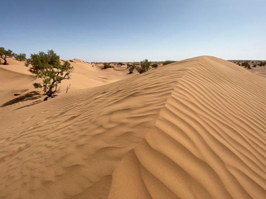 From Agadir/Tamraght/Taghazout: Sandoarding in Sand Dunes