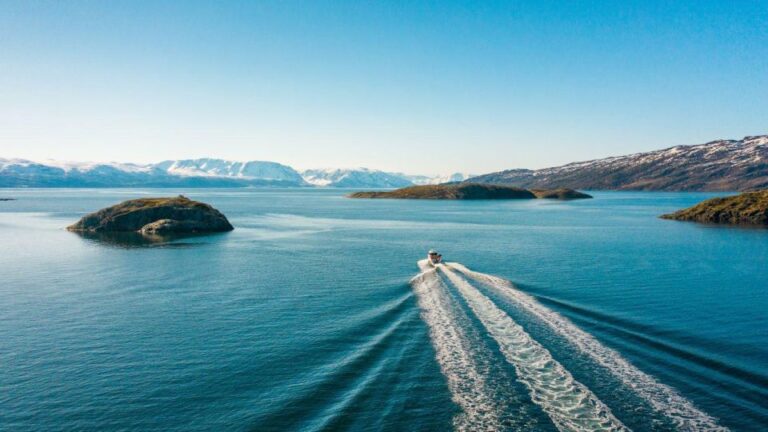 From Alta: Adventure Cruise in Alta Fjord