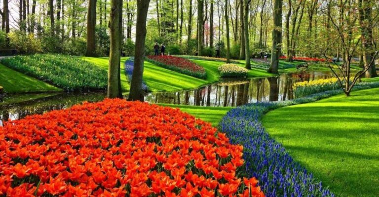 From Amsterdam: One-Way Private Transfer To/From Keukenhof