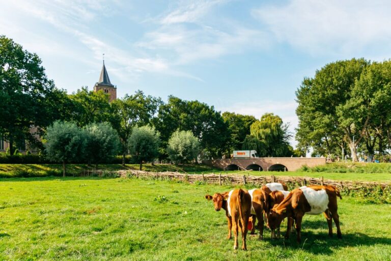 From Amsterdam: Zaanse Schans, Edam, & Marken Full-Day Trip