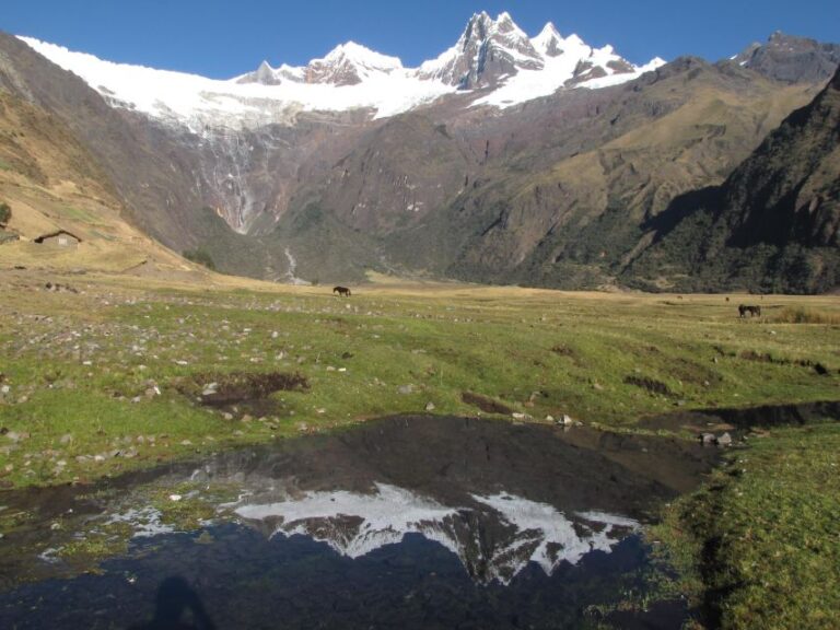 From Ancash: Trekking Alpamayo Cedars 9Days-8Nights