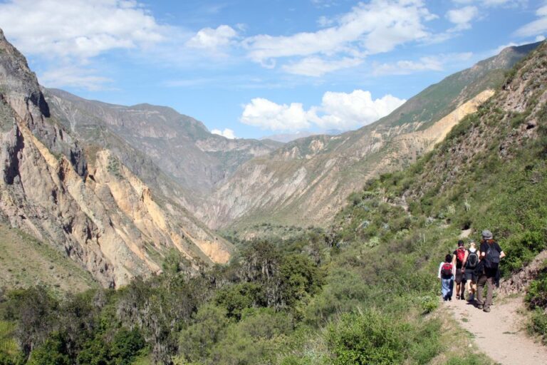 From Arequipa: 2-Day Colca Canyon Tour With Transfer to Puno