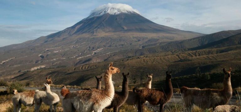 From Arequipa: 2-Day Excursion to Misti Volcano