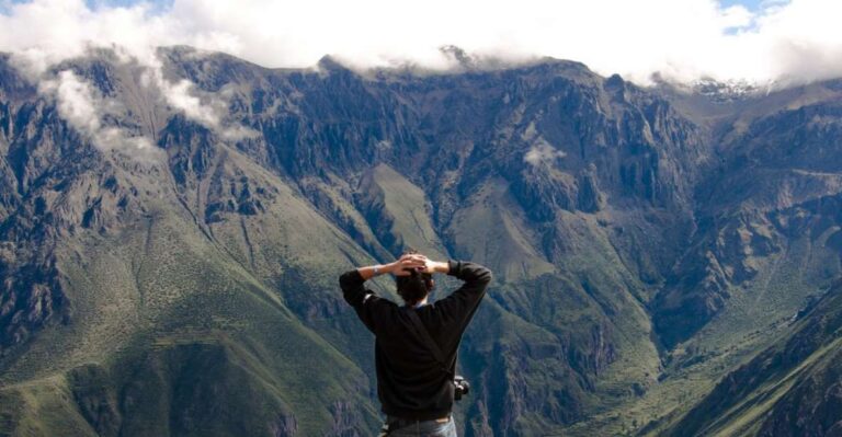 From Arequipa: Colca Canyon All Include Full Day