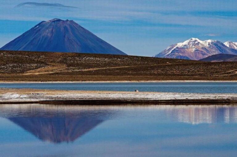 From Arequipa: Excursion to the Salinas Lagoon Full Day