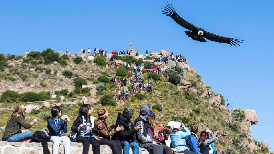 1 from arequipa full day colca canyon tour From Arequipa: Full Day Colca Canyon Tour