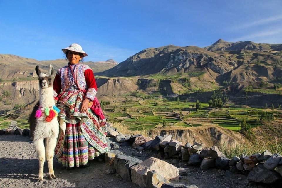 1 from arequipa full day to colca canyon From Arequipa: Full-Day to Colca Canyon
