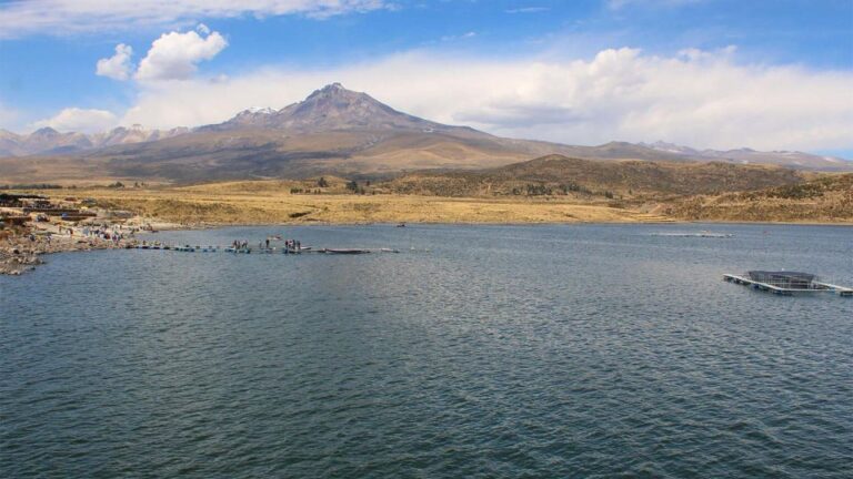 From Arequipa: Loncco Route Tour Full Day