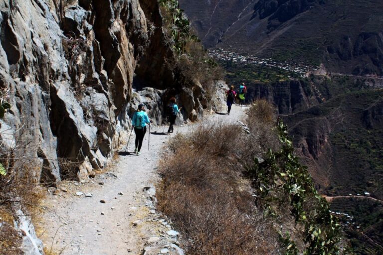 From Arequipa: Trekking to the Colca Canyon 2Days-1Night
