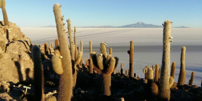 From Atacama Private Service – Uyuni Salt Flat – 3 Days