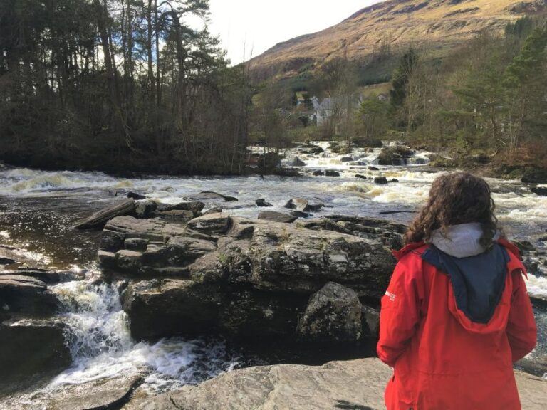 From Balloch: Loch Lomond National Park Tour With 2 Walks