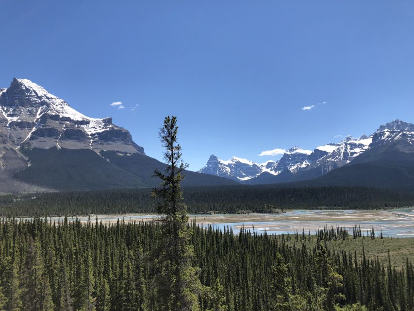 From Banff: Icefield Parkway Scenic Tour With Park Entry - Experience Highlights