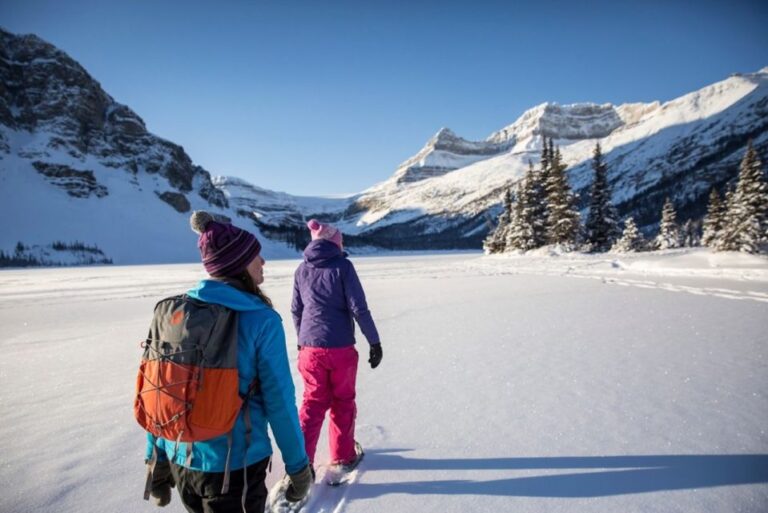 From Banff: Icefields Parkway & Abraham Lake Ice Bubbles