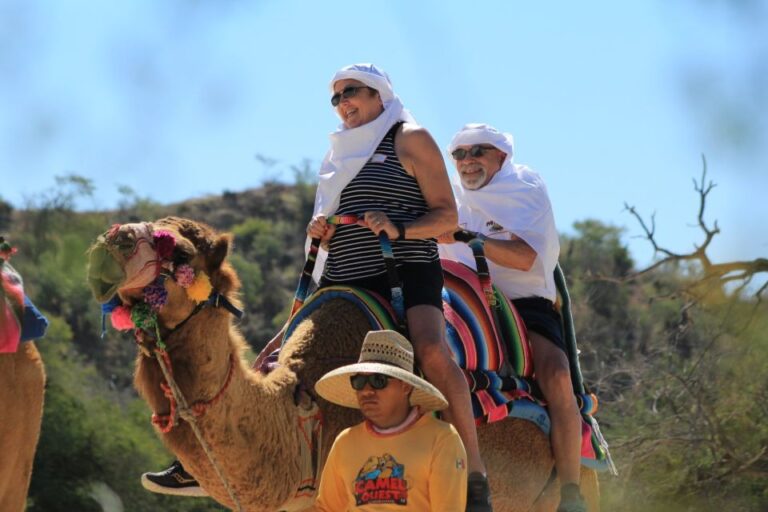 From Cabo: El Tule Canyon Camel Adventure