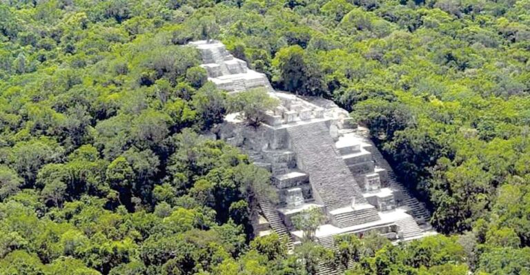 From Campeche: Calakmul Guided Nature and History Day Trip