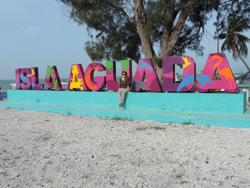 1 from campeche isla aguada dolphin encounter tour From Campeche: Isla Aguada Dolphin Encounter Tour