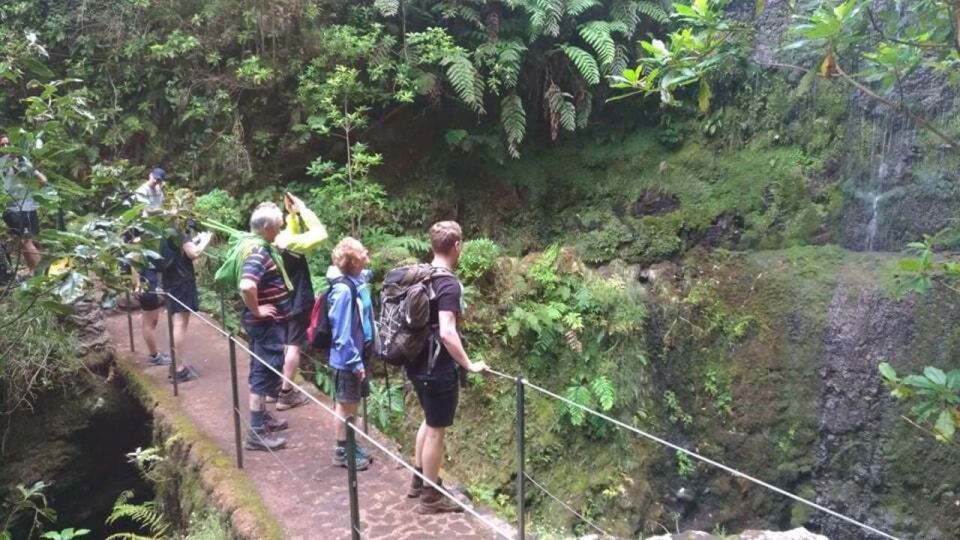 1 from canico funchal levada caldeirao verde hiking trip From Caniço/Funchal: Levada Caldeirão Verde Hiking Trip