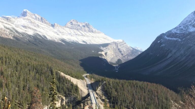 From Canmore/Banff: Icefields Parkway Experience