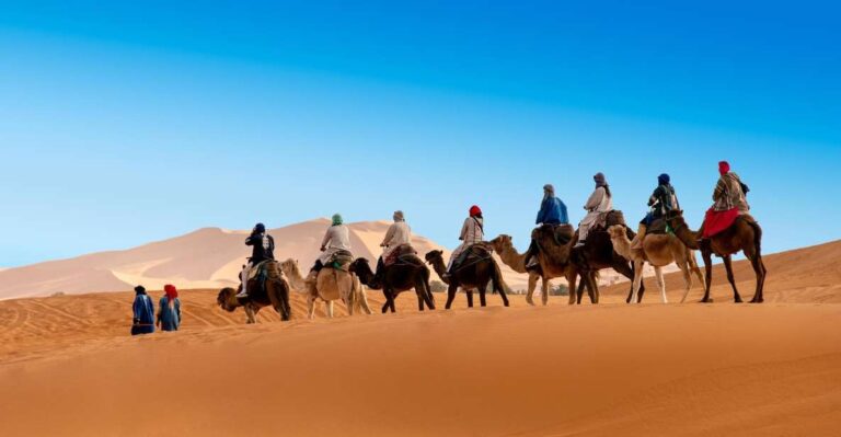 From Casablanca :9 Days to Marrakech & Desert and Camel Ride