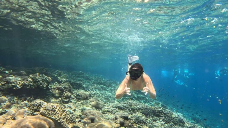 From Ceningan: Snorkeling With Turtle Experience