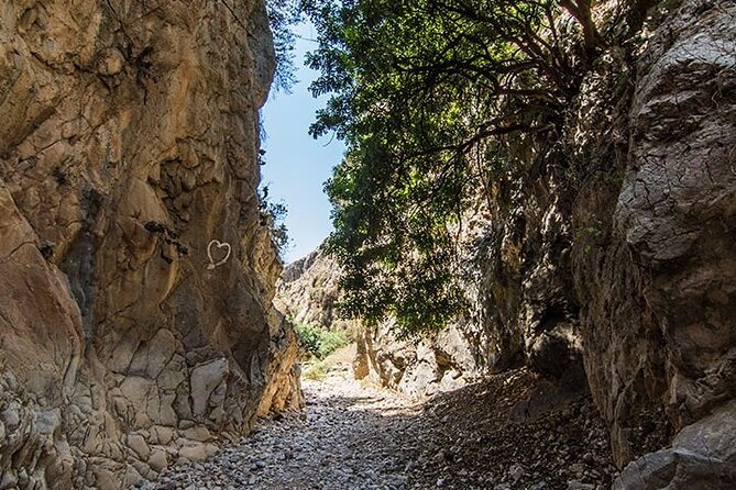 From Chania : Imbros Gorge Hike