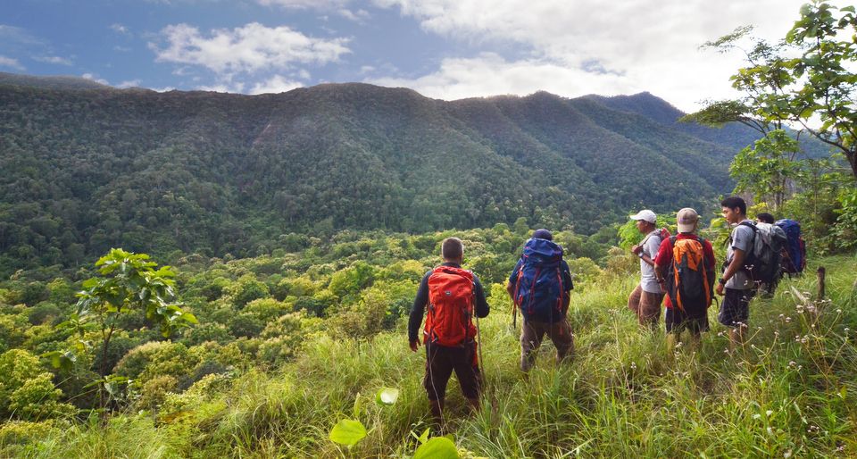 1 from chiang mai high mountain day trek From Chiang Mai: High Mountain Day Trek