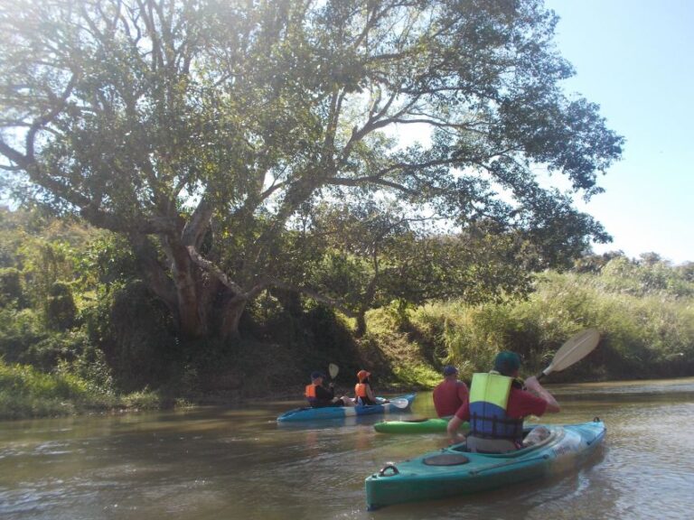 From Chiang Mai: Mae Taeng Forest Full-Day River Kayaking