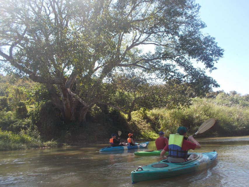 1 from chiang mai mae taeng forest full day river kayaking From Chiang Mai: Mae Taeng Forest Full-Day River Kayaking