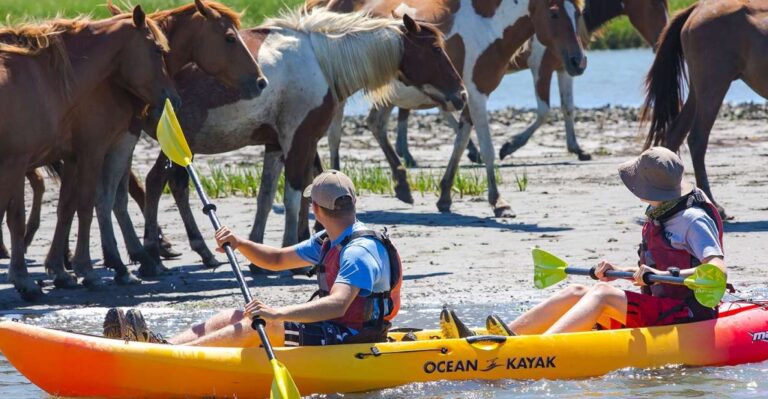 From Chincoteague: Guided Kayak Tour to Assateague Island