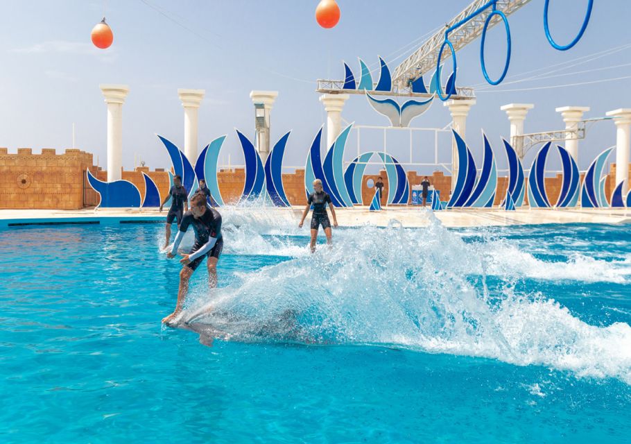 1 from city of side alanya sealanya dolphin show w transfers From City of Side/Alanya: Sealanya Dolphin Show W/ Transfers