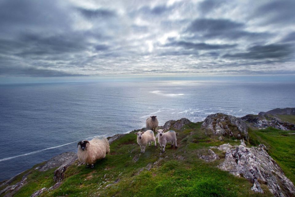 1 from cork guided full day west cork to mizen head tour From Cork: Guided Full-Day West Cork to Mizen Head Tour