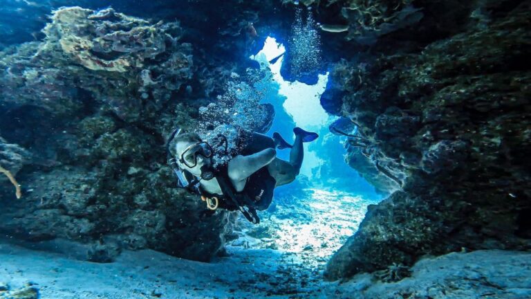 From Cozumel: Double Tank Scuba Diving for Certified Divers