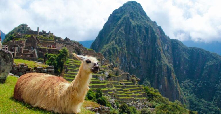 From Cusco: 2-Day Machu Picchu Small Group Tour