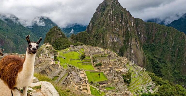 From Cusco: Cusco Machu Picchu Luxury Tour