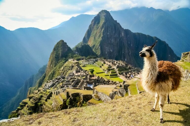 From Cusco: Excursion to Machu Picchu Full Day