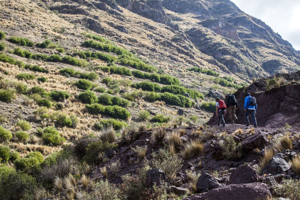 From Cusco: Huchuy Qosqo Private Full-Day Hike - Activity Experience