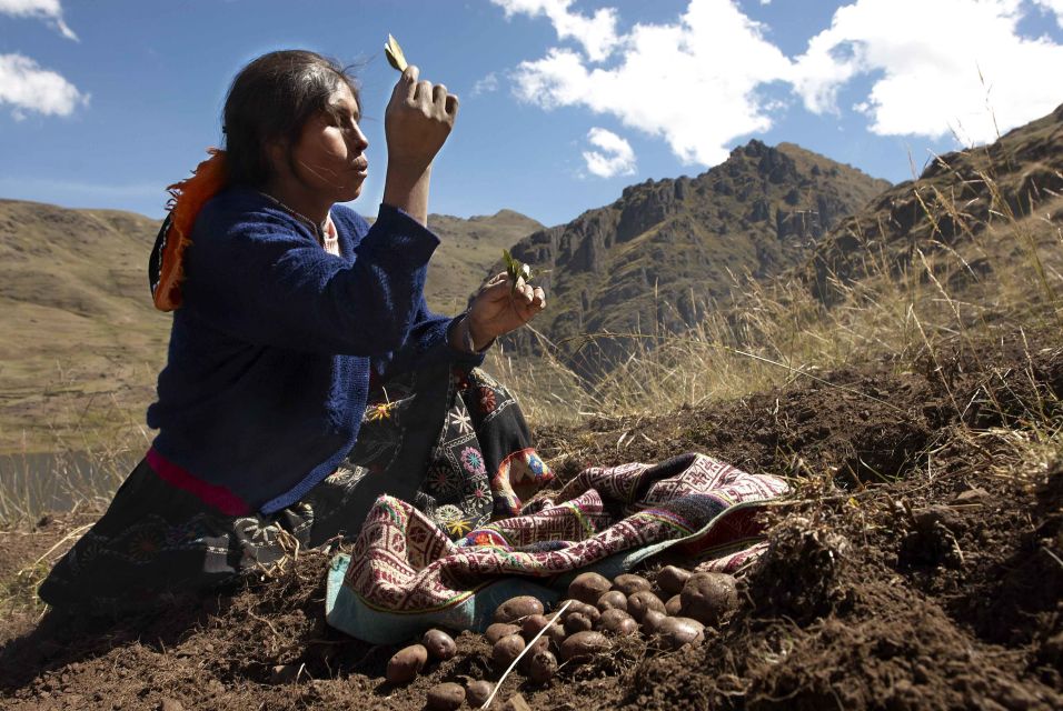 1 from cusco indigenous potato farm cultural From Cusco: Indigenous Potato Farm Cultural Experience