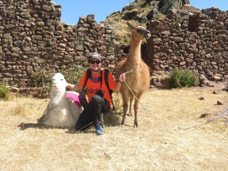 From Cusco: Llama Trekking