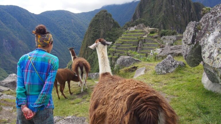 From Cusco: Machu Picchu Day Trip