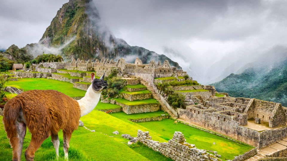 1 from cusco machu picchu day trip by vistadome train From Cusco: Machu Picchu Day Trip by Vistadome Train