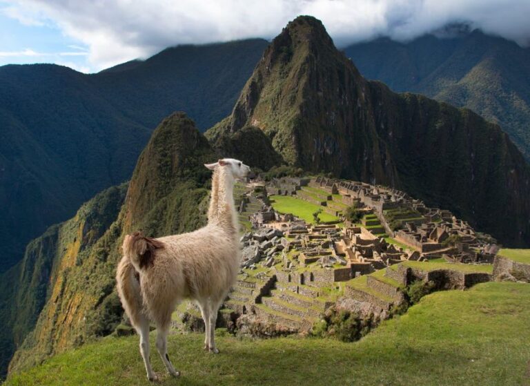 From Cusco : Machu Picchu Huayna Picchu Mountain