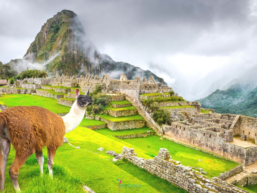 1 from cusco machu picchu private day trip by train From Cusco: Machu Picchu Private Day Trip by Train