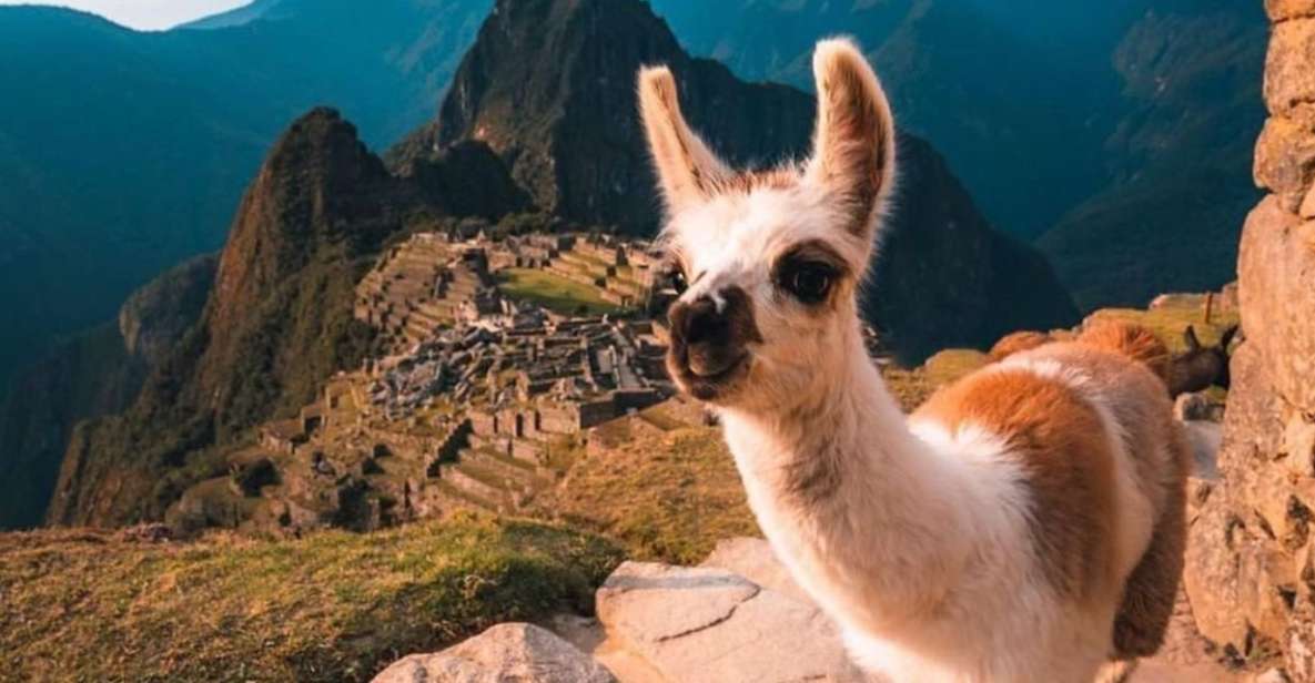 1 from cusco machu picchu private full day tour with transfer From Cusco: Machu Picchu Private Full-Day Tour With Transfer