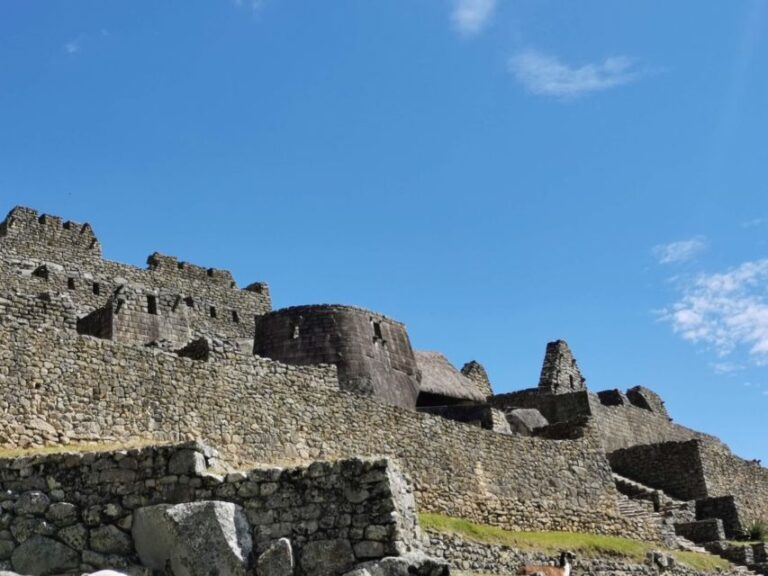 From Cusco: Machu Picchu Tour by Vistadome Panoramic Train