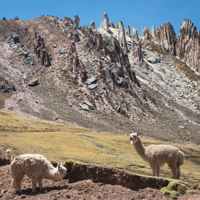 From Cusco: Palccoyo Rainbow Mountain Trek Tour