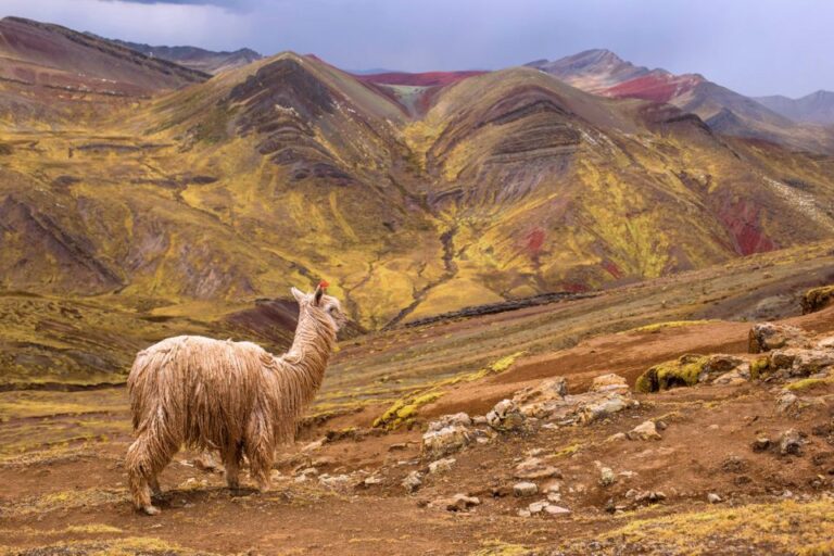 From Cusco: Palcoyo Mountain Range Full Day Hike