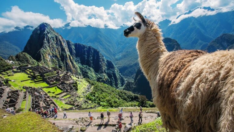 From Cusco: Private Full-Day Machu Picchu Tour With Lunch