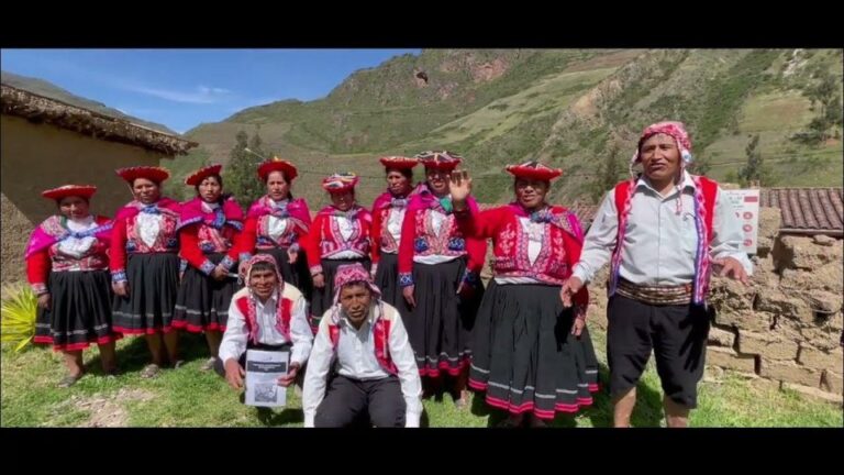 From Cusco: Walk With Alpacas and Llamas & Picnic Private